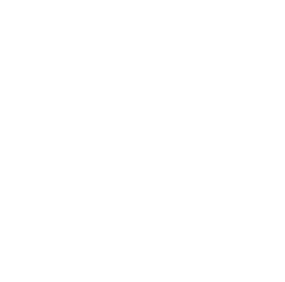 Sharp Tech Turtles (White Logo)